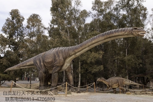 铜陵Big Size Simulation Apatosaurus